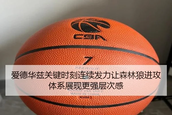 爱德华兹关键时刻连续发力让森林狼进攻体系展现更强层次感
